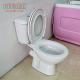 France Stander Double Flush P Trap Toilets 180mm Two Piece Commode