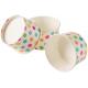 Party Supplies Rainbow Polka Dots Disposable Paper Ice Cream Cups With Lids