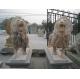 BSCI Life Size Driveway Marble Statue Of A Lion