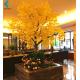 Artificial Ginkgo Biloba Tree , Yellow Ginkgo Tree For Parterre Art Decoration