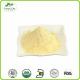 Hot Sale Natural Organic Mangiferin Powder