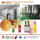 fruit juice equipment