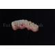 Individual All On 4 All On 6 Endosteal Implants For Immediate Tooth Replacement