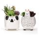 Animal Flower Pots Succulent Plant Pot Customized Plant Propagation Planter Ceramic Planter
