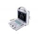 BCV56 Portable ultrasound scanner for veterinary use