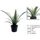 Flexible Glue Artificial Greenery Bonsai Tree Aloe Vera 30 CM 36 CM 50 CM61 CM