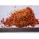 Dried Hot Crushed Chilli Peppers SHU40000-70000 For Cooking
