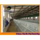 Poultry production | Poultry cages for layer management | Big