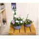 China manufacturer wicker garden baskets willow plant baskets round shape