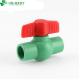Round Cross-Section Shape PPR Pipe Valve and Fitting Set for Plastic Pipe System