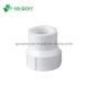 Glue Connection UPVC BS Fittings Thread Coupling Reducer for Long-Lasting Irrigation
