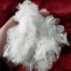 Anti-Fungal and Anti-Bacterial Poly Microfiber - Premium Quality