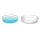 Lab Suspension 60 X 15 Mm Petri Dish Cell Culture TC Treated Non Treated Petri Dish