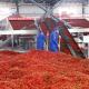 Hot Pepper Drying Processing Line Automatic Chili Dryer Machine For Vegetable Fruit