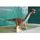 Sun Proof Realistic Dinosaur Model , Lifelike Animatronic Camarasaurus