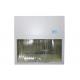 450W Medical Laminar Flow Cabinets Customized Size Laminar Flow Hood