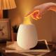 200ml Essential Oil Diffuser With No Water Auto Off Protection