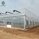 33ft Multi Span PE Plastic Shed Film Greenhouses