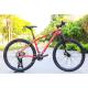 Custom Exercise Bike Sizes 29 Inch Mountain Bike with 22 Speed Gears and Smooth Welds