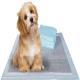 Disposable Friendly Pet Training and Puppy Underpad High Water Absorbability Dog Pee Pad