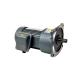 750W Output Speed 570rpm AC Gear Motor Low RPM