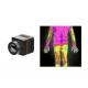 Non Contact Thermography Uncooled Thermal Imaging Module 384x288 17μM