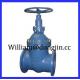 DIN 15 non-rising stem reslient soft seated stainless steel gate valve