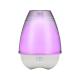 Spa Office Mini 80ml Aromatherapy Mist Diffuser With LED Light