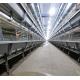 H Type Battery Broiler Chicken Cage Automatic For Poultry Farm