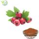 Natural Cardiovascular Hawthorn Berry Supplement Leaf Flower 1.8% Vitexin-2-O-Rhamnoside Extract