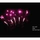 High Quality 36 Shots 500G Cake Fan Shape Fireworks Wholesale Liuyang Fireworks From China
