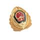 Electroplate Military Cap Badges