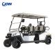 OEM 4 Seater Electric Golf Cart / Golf Buggy Leather Material