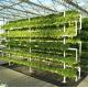 Hydroponic Growing Multi Shading Screen Glass Greenhouse with Steel Structure and Span