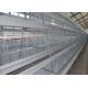 Large Capacity Galvanized Automatic Layer Hen Cages For 160 Chickens