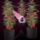 5-Year Warranty Customizable Dimmable Hydroponic Rack Deep Red Full Spectrum 4ft 120W/150W Under Canopy LED Grow Light for Bloom