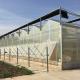 Large Multi-Span Greenhouse with Modern Aluminium Structure and Hydroponics System
