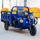Blue Utility Electric Tricycle Truck Cargo E Trike Truck 1000W
