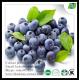 100% natural Blueberry Extract