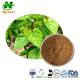 Mulberry Leaves Extract 1% 5% 15% 1-Dnj White Mulberry Bark Extract Morus Alba Extract CAS No.: 19130-96-2