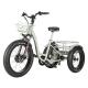 Front 24x4.0 Wheel Electric Disabled Tricycle with Fat Tire and Black Color