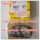 Genuine BOSCH GASKET / Repair Kits 1467010059 , 1 467 010 059 , Fit  79071400/FORD	6152619/	IVECO 79071400/ ..