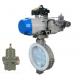 Butterfly Control Valve With Actuator And With Fish-Er 67CFR Filter Regulator