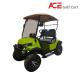 Electric Golf Buggy Cart / Two Seater Golf Vehicle With 80km Range