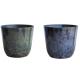 Customized Plastic Flower Pot Lightweight for Planting Seedling