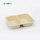 Disposable Biodegradable Sugarcane Clamshell Food Container 3 Compartment