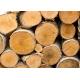 Romanian Beech Wood Timber Supplier