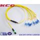 MPO APC to 12 LC UPC Breakout Fanout Fiber Optic Patch Cord SM OS2 G657A2 G657B3
