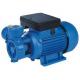 0.75HP Vortex Clear Water Pump With Brass Impeller For Steam Generator