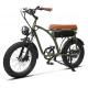 EB1 20 Air Tire Electric Bike With F&R Hydraulic Brake